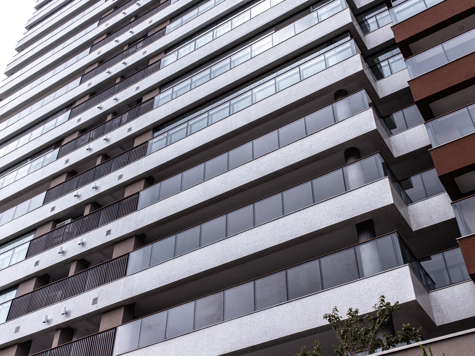 band-il-bosco-02_min