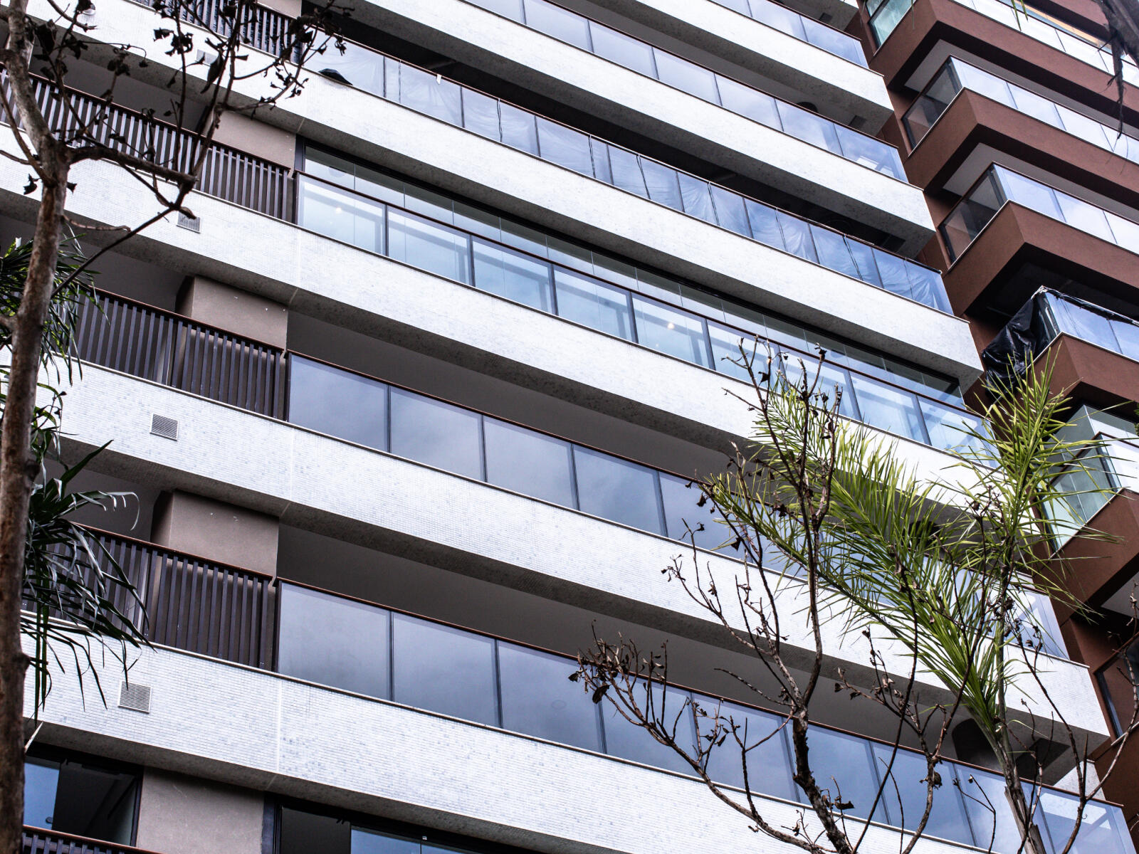 band-il-bosco-03_min