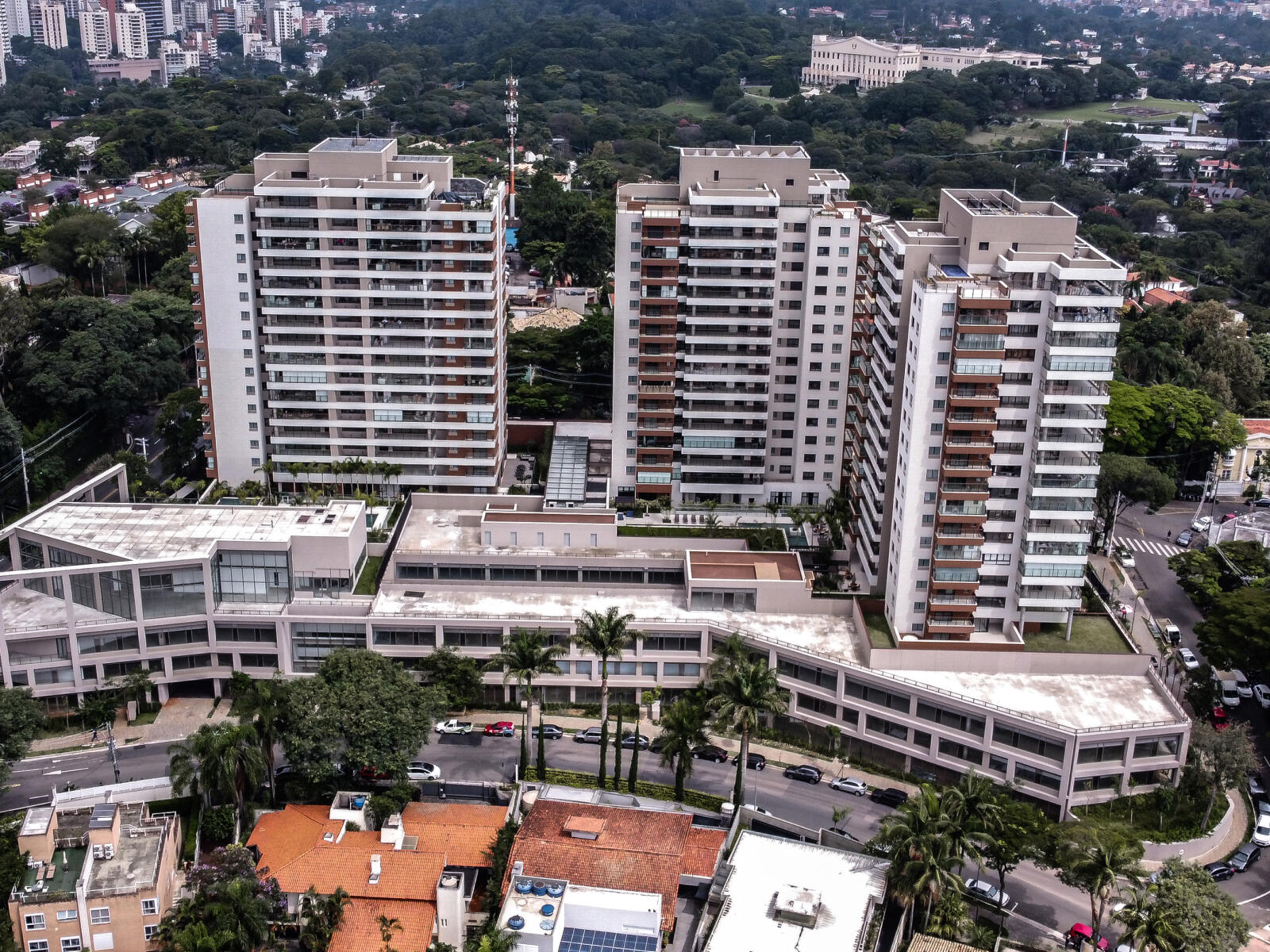 band-il-bosco-04_min