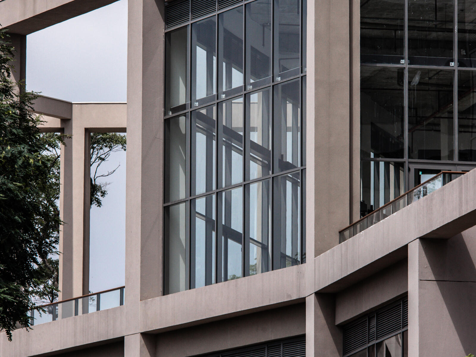 band-il-bosco-05_min