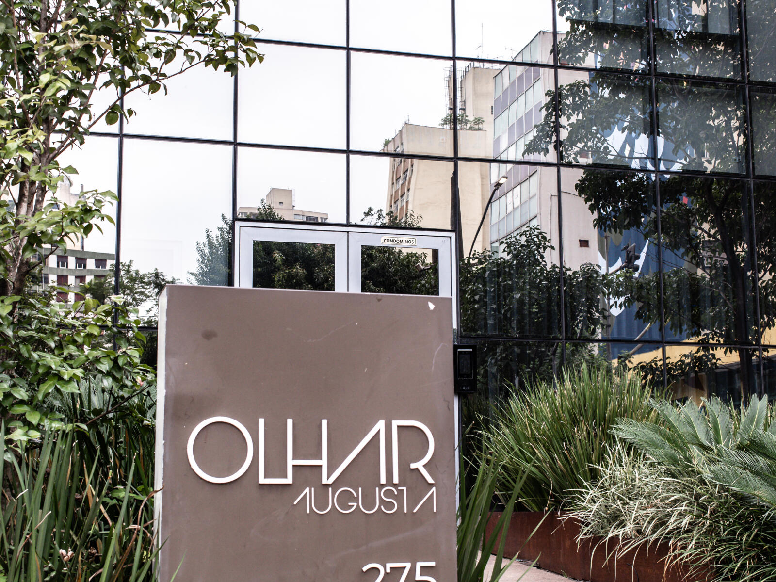 olhar-augusta-04_min